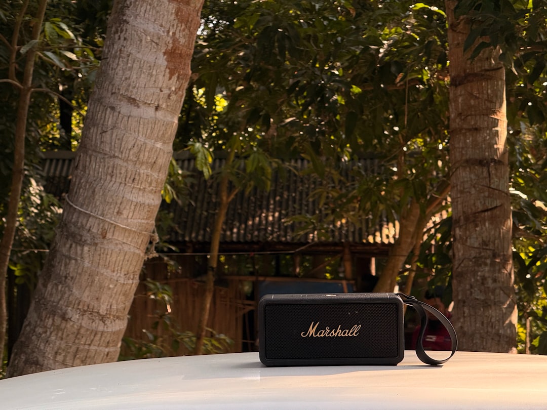 Portable Bluetooth speaker