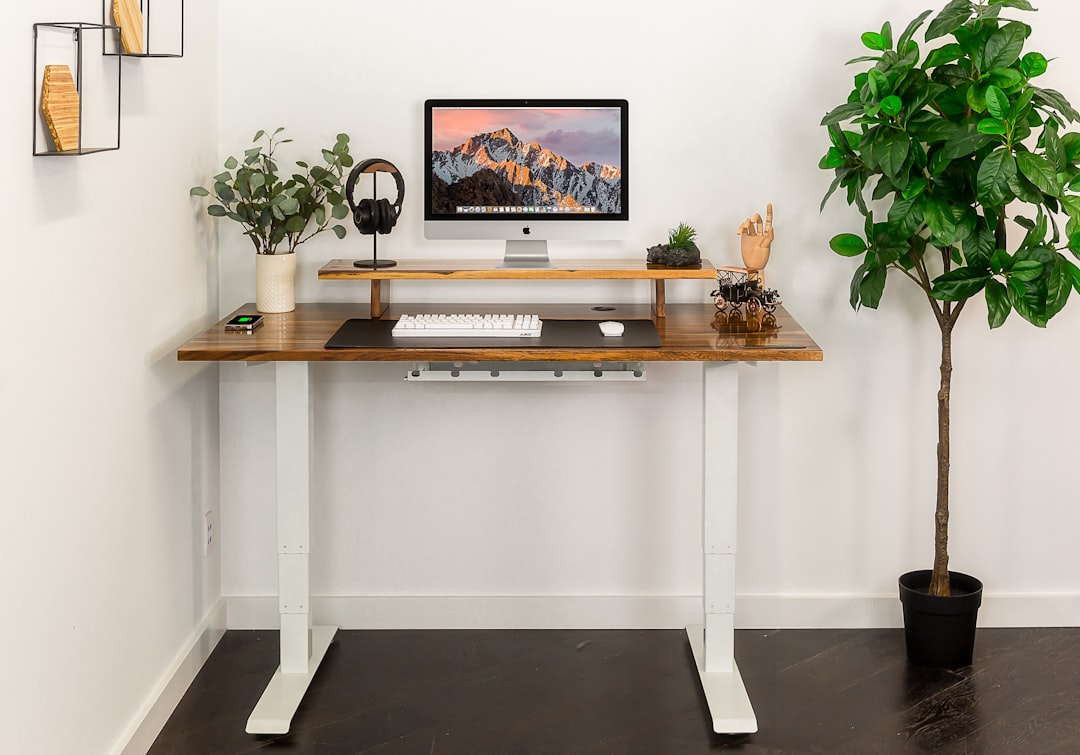 Home office ergonomic desk