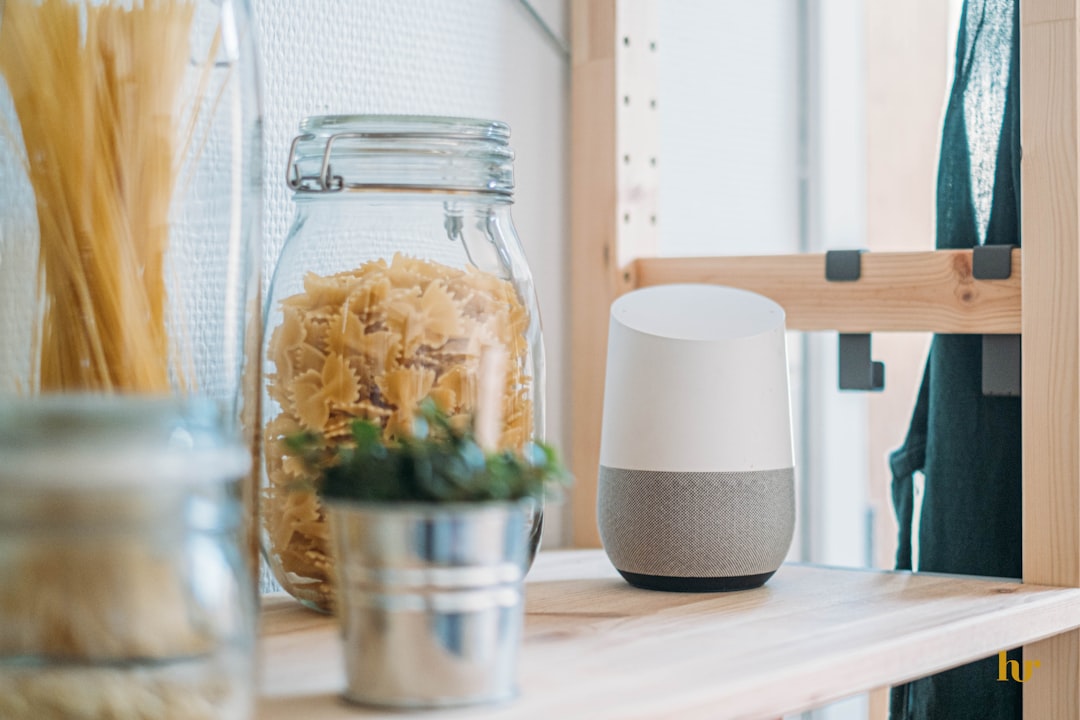 Smart home voice assistant and hub