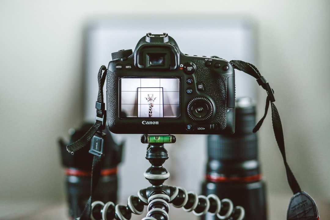 Camera autofocus tracking system