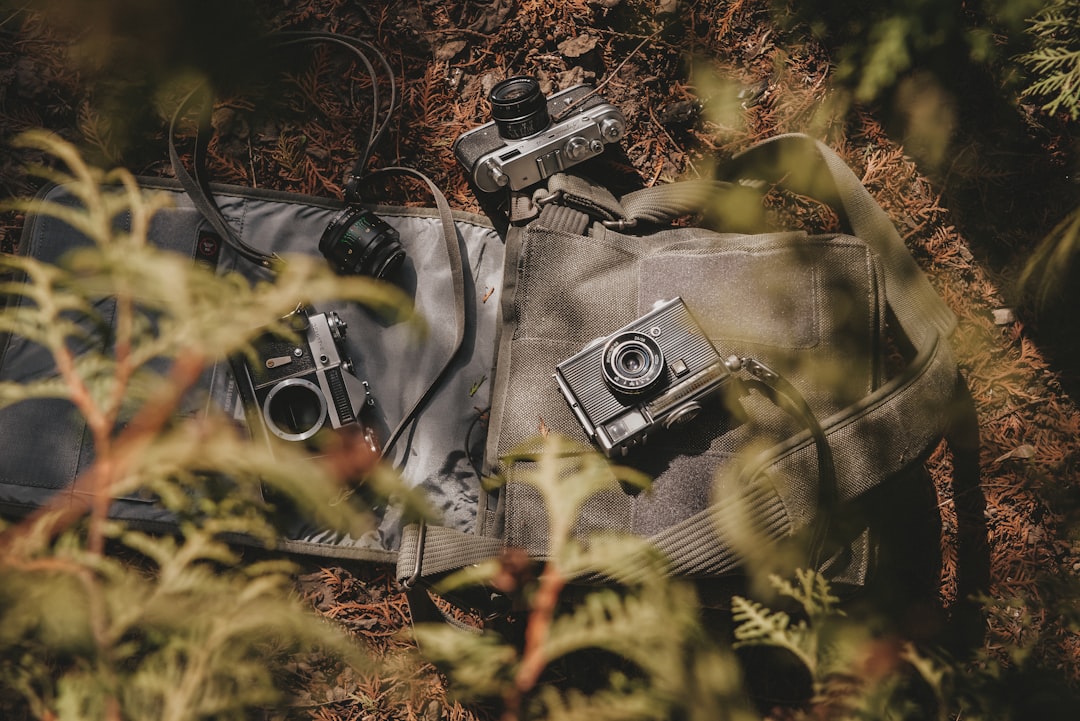 Camera gear organized in a photographer's bag