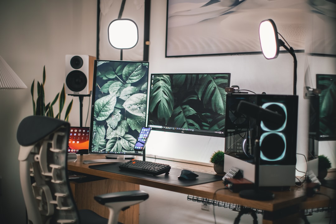 Dual monitor setup productivity workspace