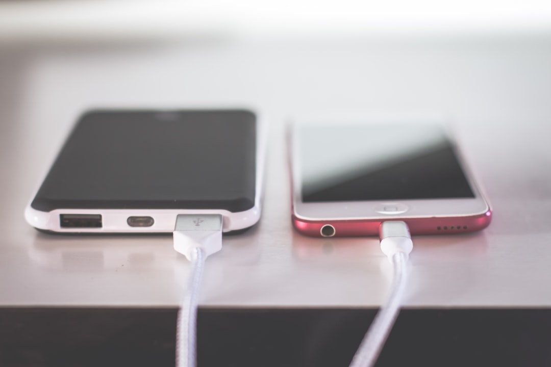 Multiple port gadget charger