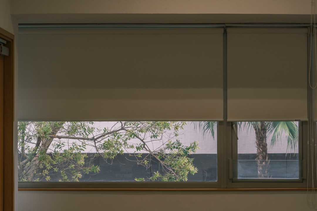 Motorized roller shades on a modern home window