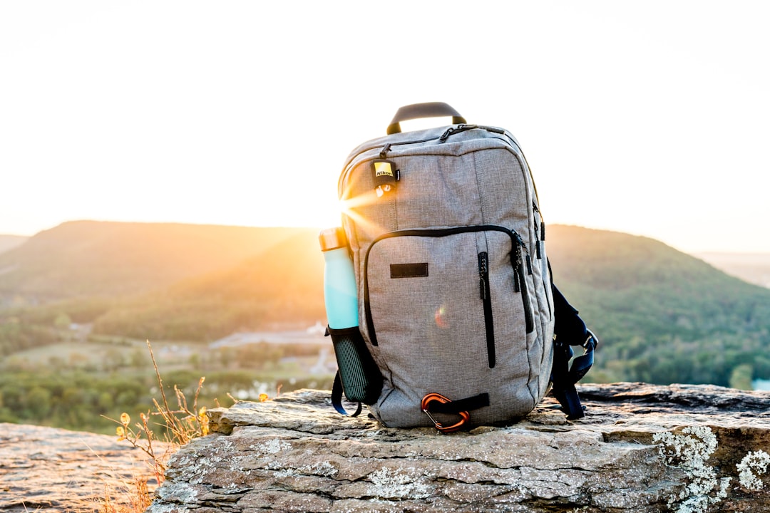 Organized tech gear in travel backpack showing cables and accessories
