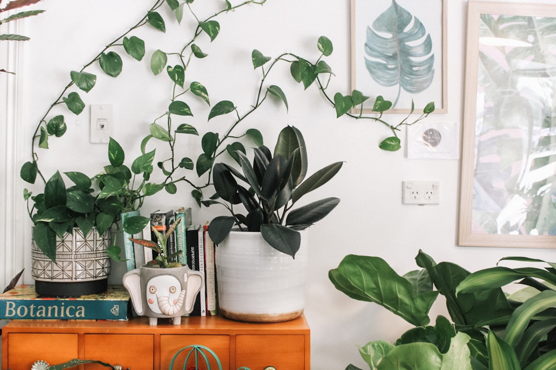 Indoor plants and fresh air in a living space