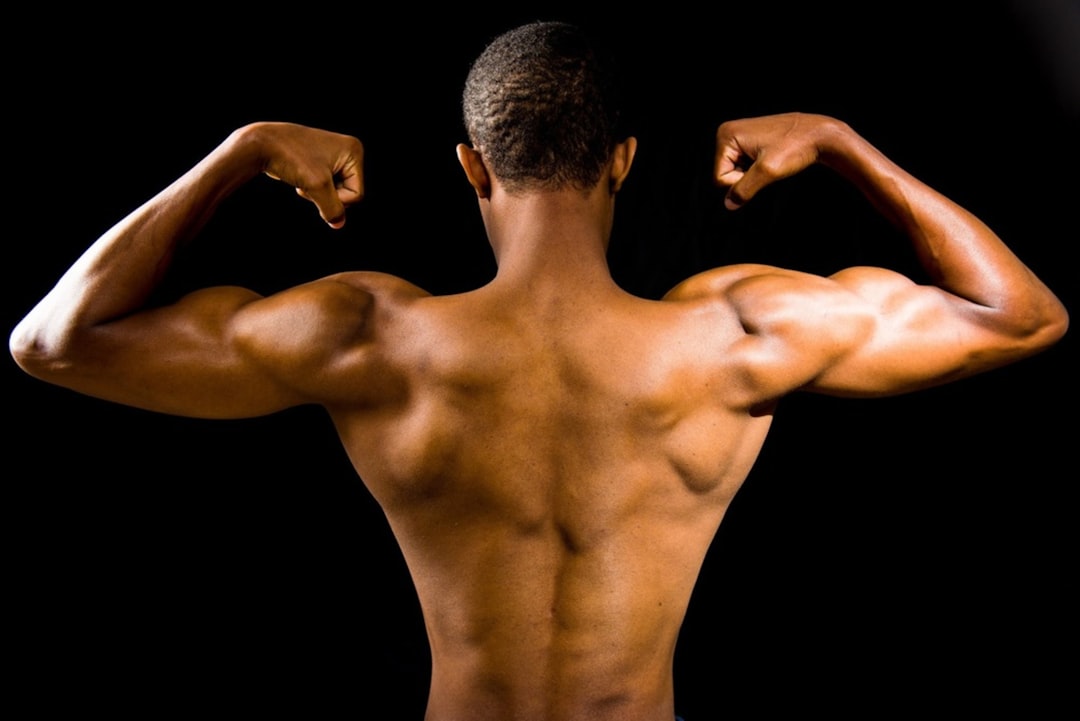 Body composition and muscle anatomy representation