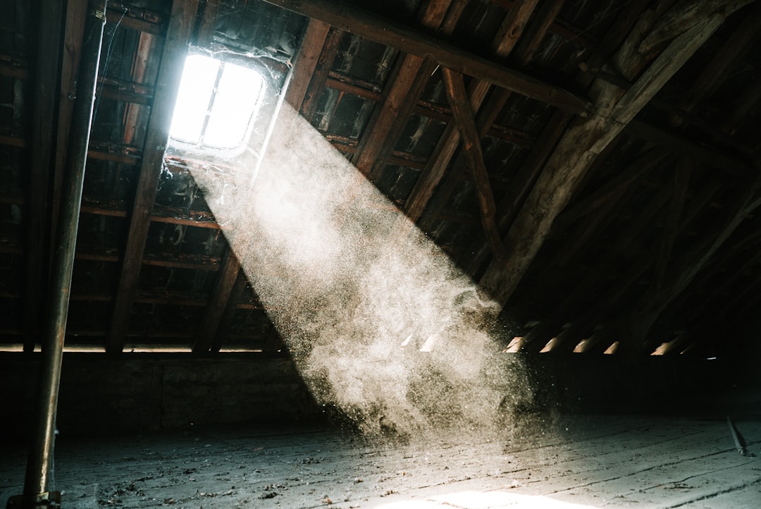 Dust particles visible in a beam of sunlight through a window