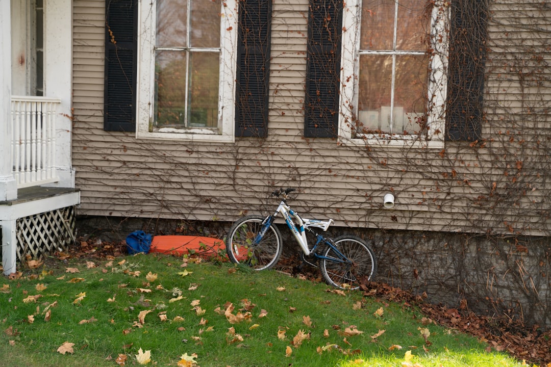 Lawn mower visible through neighborhood window