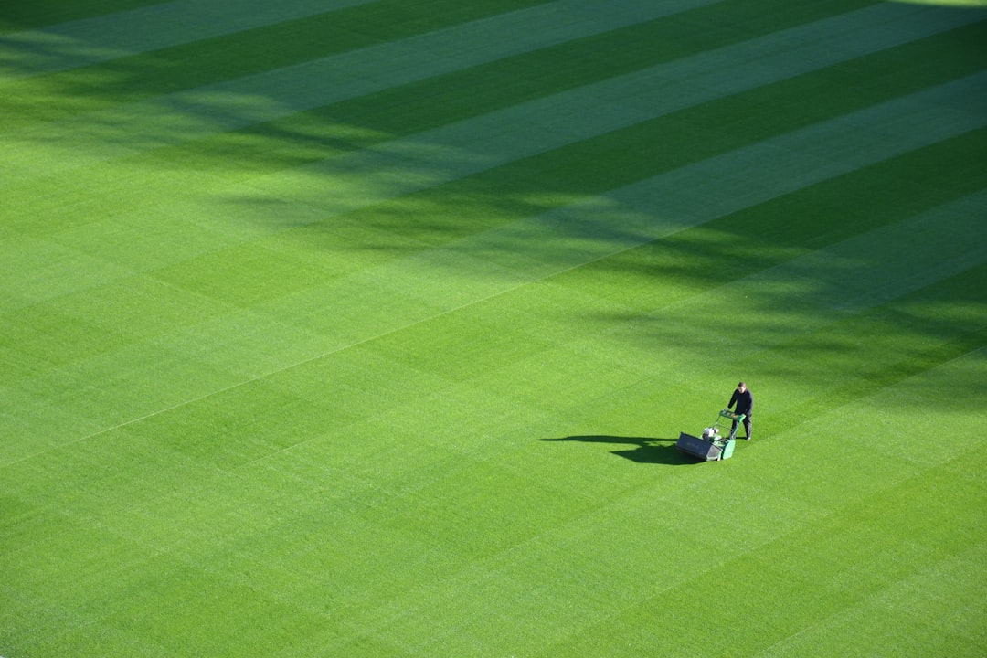 Striped mowing pattern across a healthy green lawn