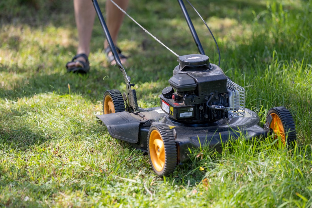 Person mowing a lawn with a push mower on a summer day