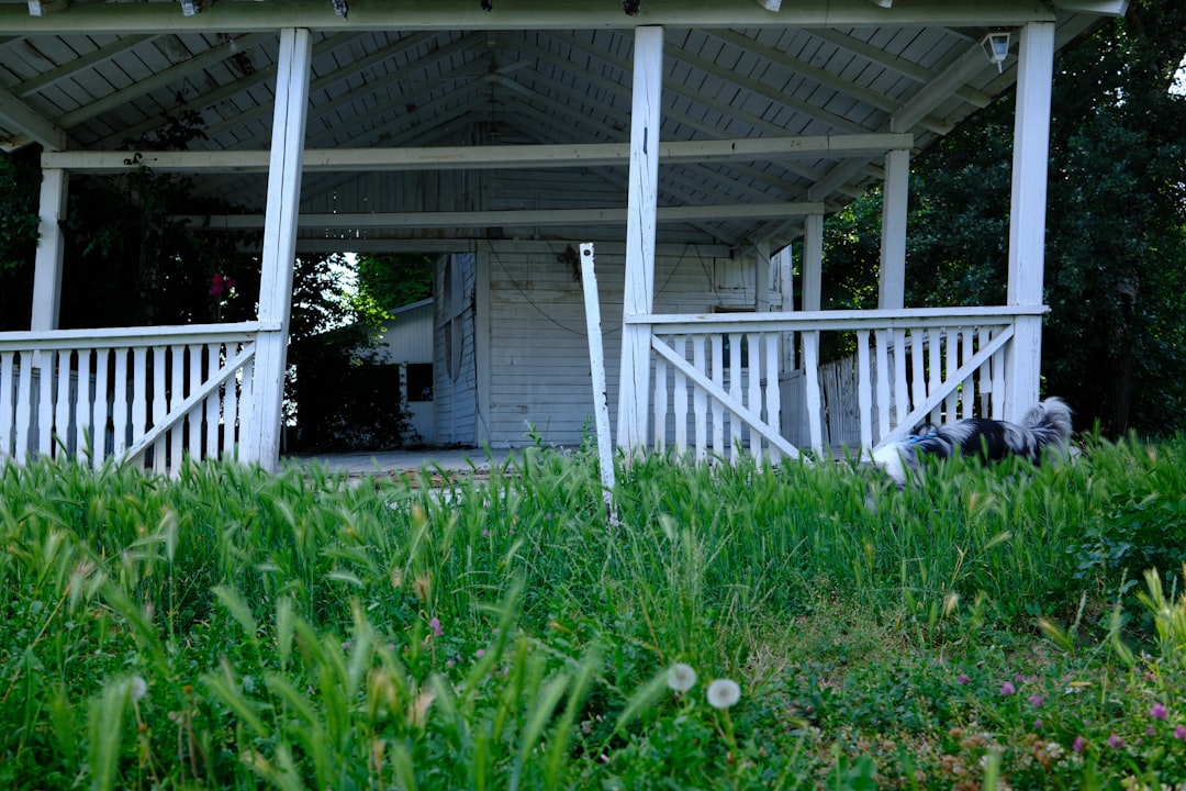 Morning coffee on a porch overlooking a backyard