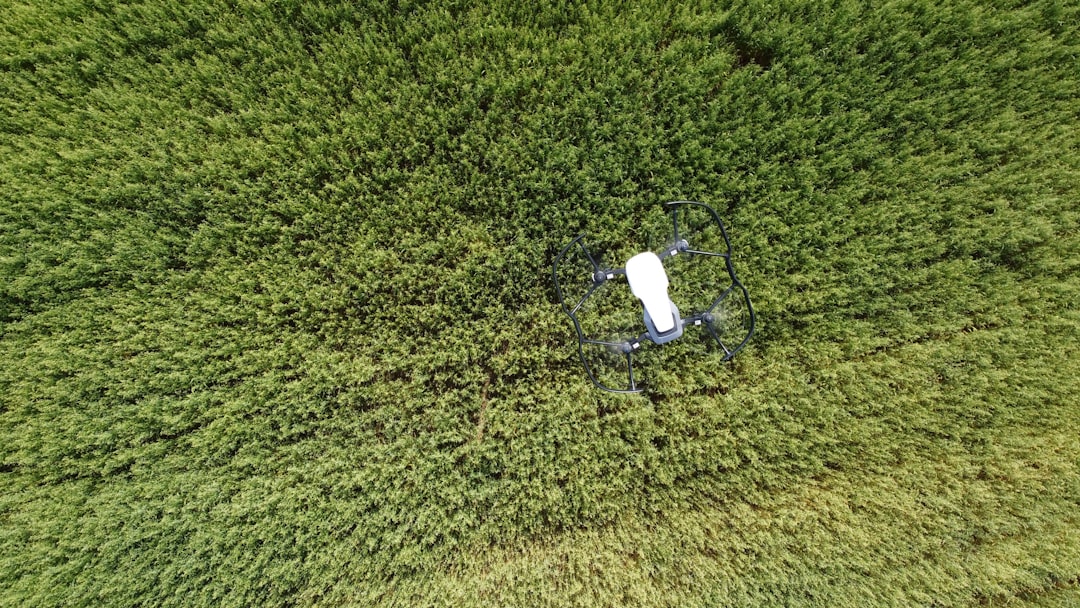 Drone flying low over a green grassy field