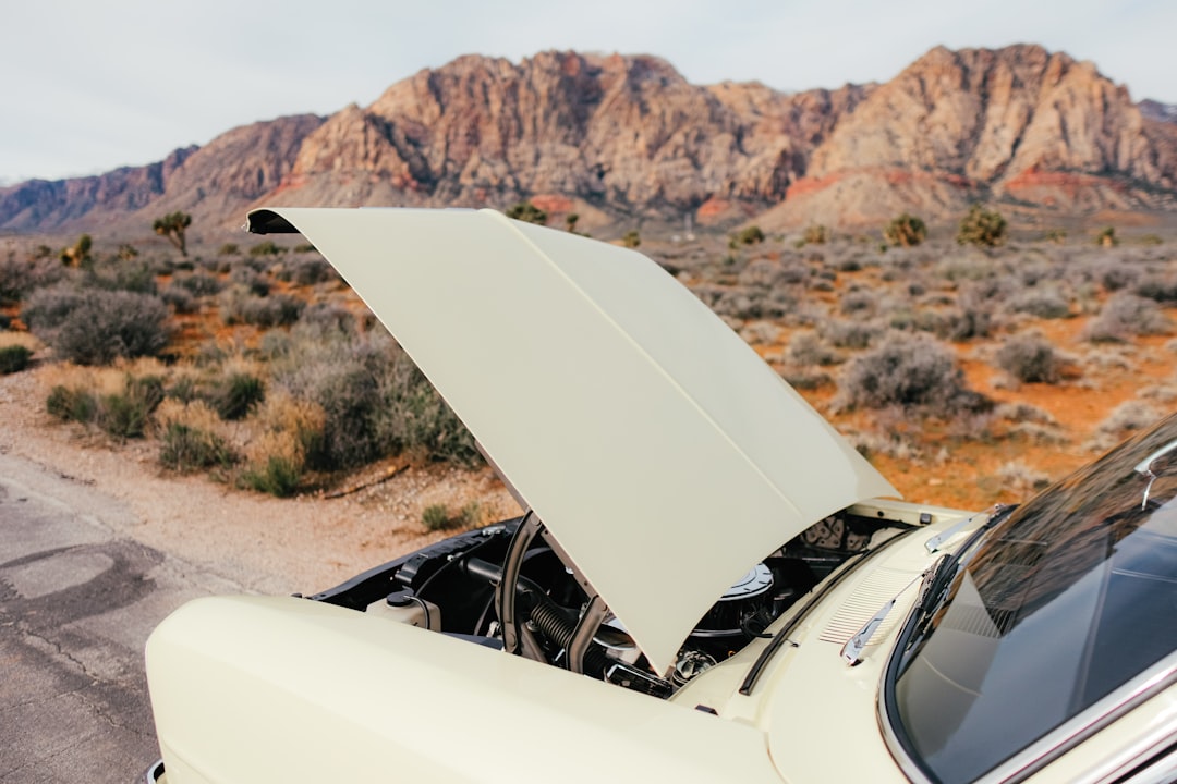 Car with hood open at dawn