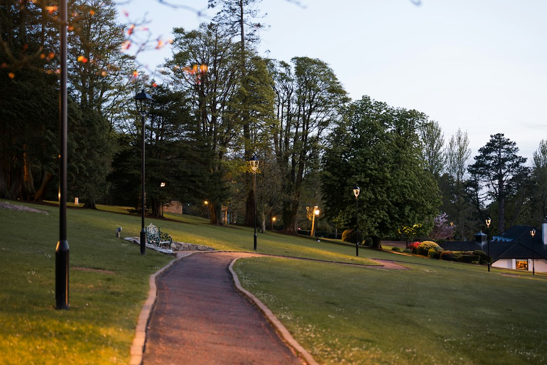 Garden path lined with lampposts at dusk