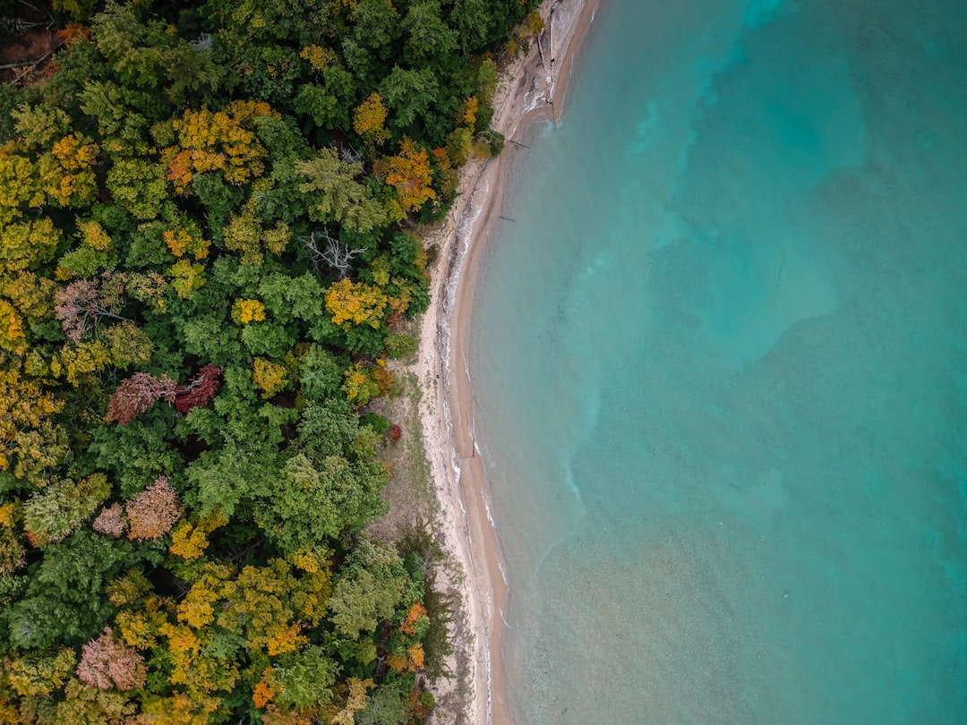 Aerial drone footage view of a forested coastline with turquoise water