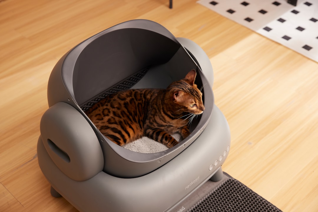 Self-cleaning automatic litter box with a cat stepping inside