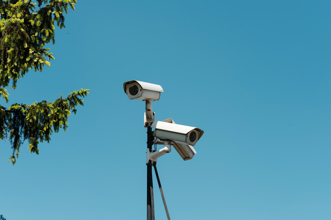 Two security cameras mounted on a pole outdoors