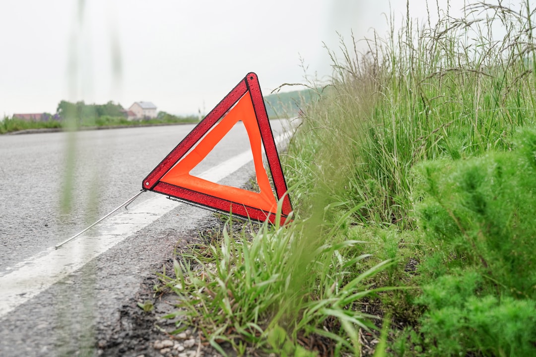 Warning triangle deployed on a road shoulder