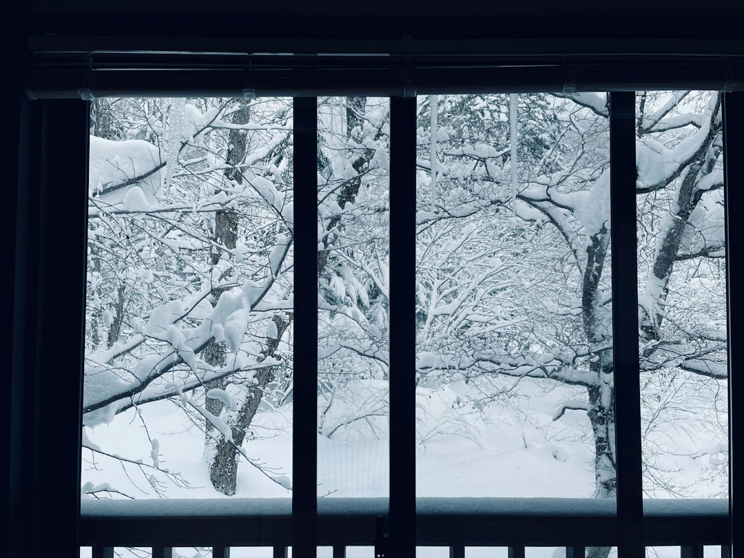 Dark winter morning seen through a frost-covered window