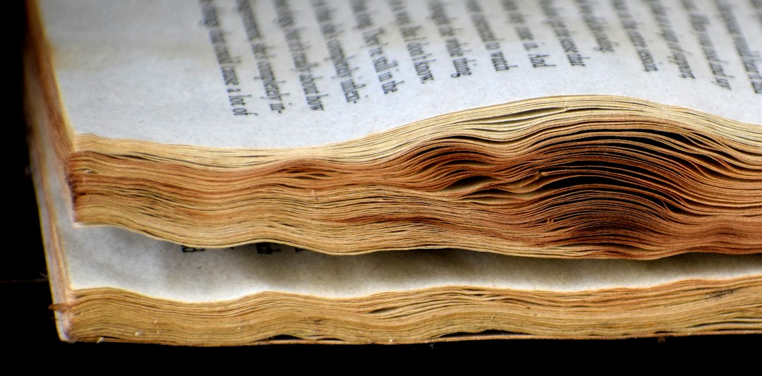 Close-up of paper book pages, a reminder of what e-ink screens are chasing