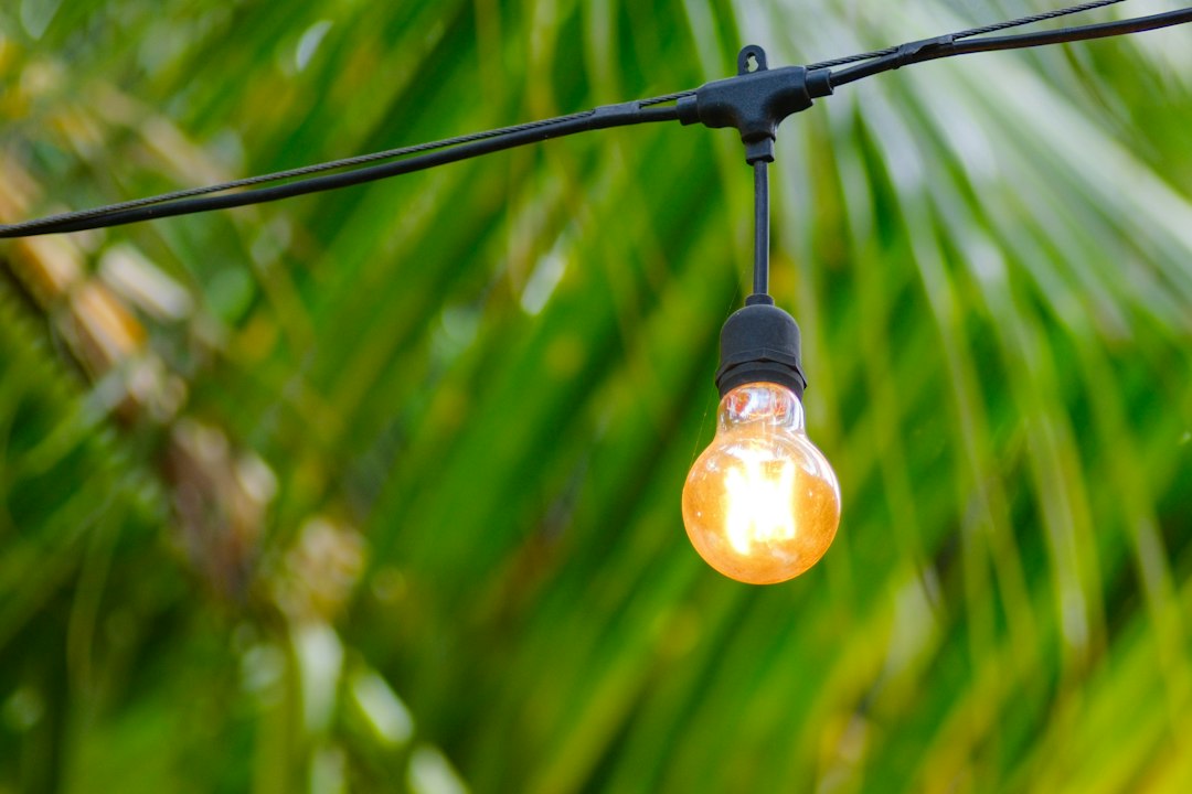 Single bulb hanging from an outdoor cord in daylight
