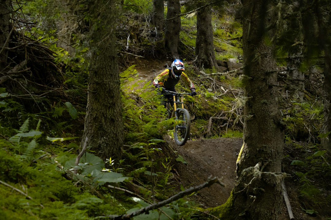Mountain biker riding a rugged forest trail