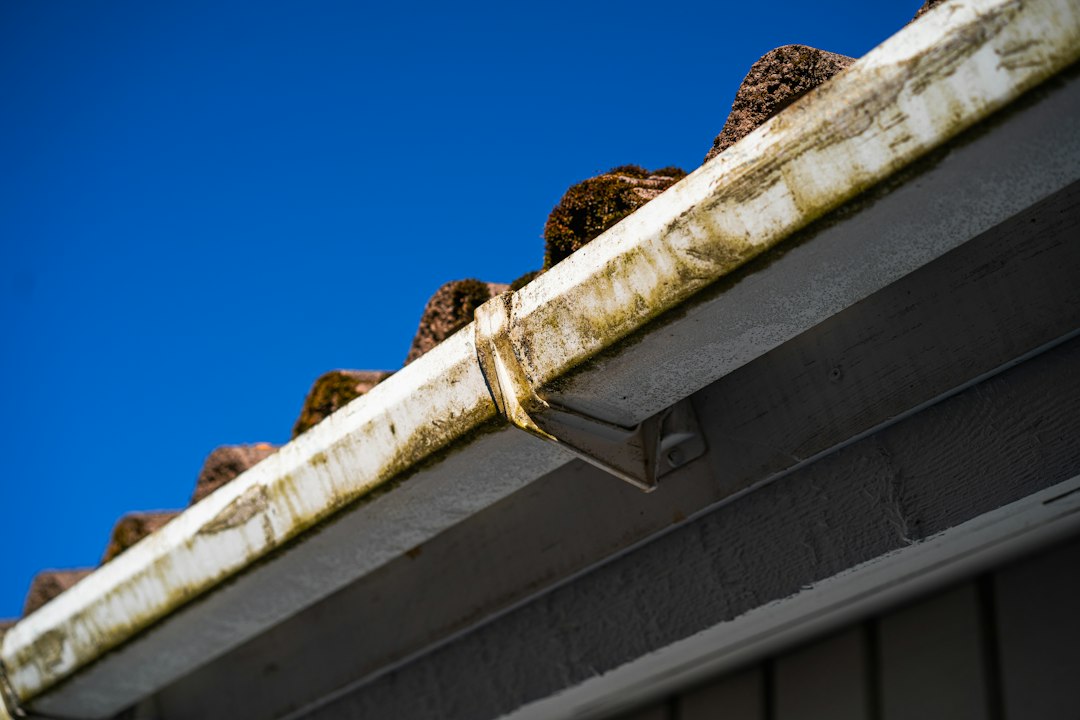 Closeup of a weathered roof gutter and eave