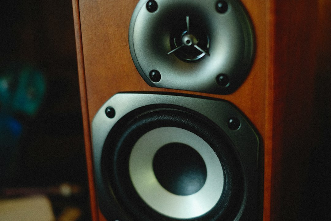 Close-up of a wooden bookshelf speaker and its drivers